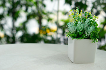 small plant on the table with copy space