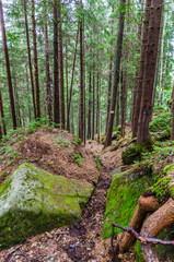 Carpathian mountains landscape view in Yaremche