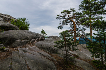 Carpathian mountains landscape view in Yaremche