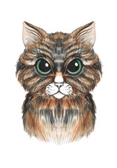 Hand drawn watercolor brown cat with green eyes