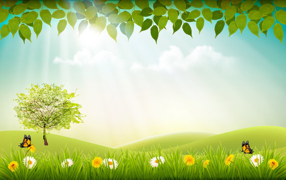 Summer nature background with a green trees and landscaper. Vector