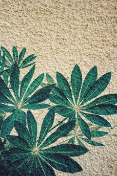 Exotic plants on old plastered background