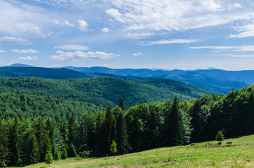Carpathian mountains landscape view in Yaremche