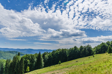 Obraz premium Carpathian mountains landscape view in Yaremche