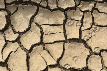 Cracked dry land background. Eecological catastrophe and global warming