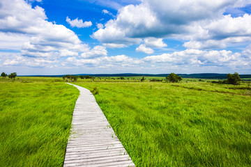 Einzigartige Aussicht auf dem Steg mit Weitblick über die Landschaft im Naturschutzgebiet Hohes...