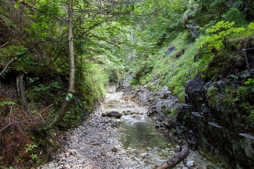 Kysel ravine in Slovak Paradise National park, Slovakia