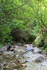 Obraz premium Kysel ravine in Slovak Paradise National park, Slovakia