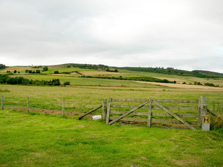 hay bales field