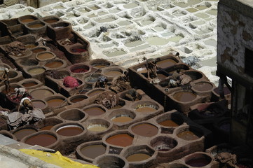 leather processing in Morocco