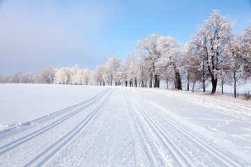 Fototapeta na wymiar wintry landscape with modified cross country skiing way