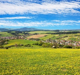 Obraz premium meadow ful of dandelions and beautiful clouds