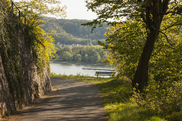 Road. Bench for rest among trees on the shore of a river. Park. Landscape.
