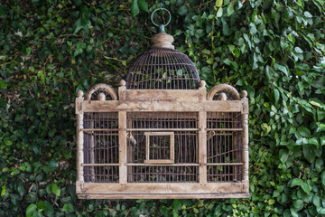 Vintage Style Birdcage