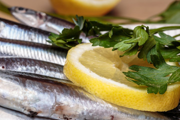 Detail of parsley leaves and lemon slice over a heap of raw fresh anchovies. Seafood