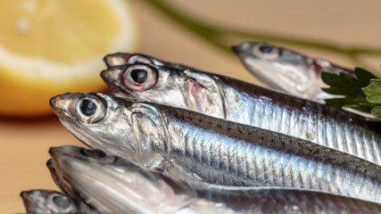 European anchovies at kitchen. Seafood