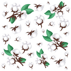 Cotton isolated on the white background. Vector illustration