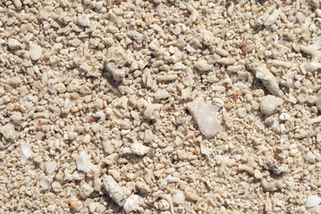 White coral beach background. Coral sand texture on seaside under tropical sun.