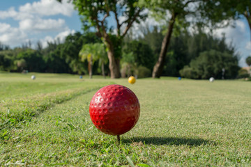 La pelota roja de golf.