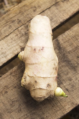 Ginger