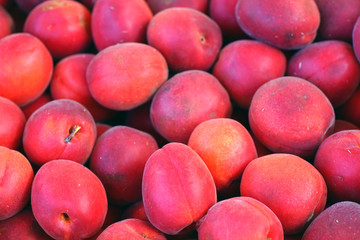 Ripe ruby red apricots in bulk at a farmers market