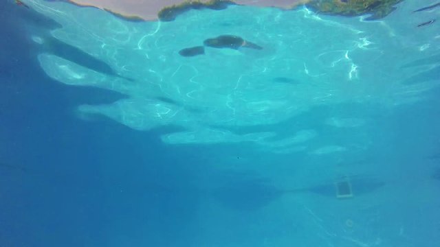 Plunge Pool Low Angle Under Water Shot