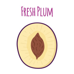 Half of ripe purple plum. Cartoon flat style. Vector illustration