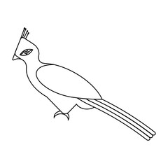 Tropical bird tauraco on a white background