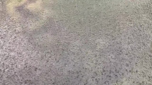 Regen: Regentropfen fallen vom Himmel in den See, ins Wasser