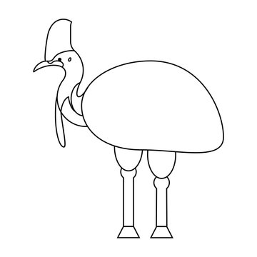 recommend clip art: vector cassowary isolated on white background