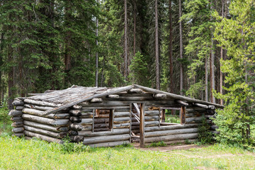 Abandoned Cabin in Northern Colorado at State Forest State Park