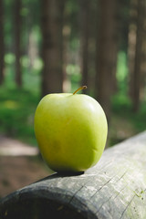 green apple in a forest
