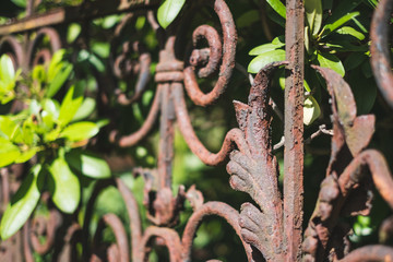 old rusted fence, rusty railing, wrought metal balustrade