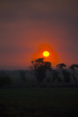 Sunset on Guatemalan coasts, sugarcane plantation and contaminated river