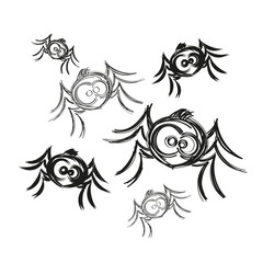 Obraz premium black spider weighs