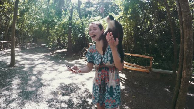Perverted white faced monkey looks down a woman's shirt.