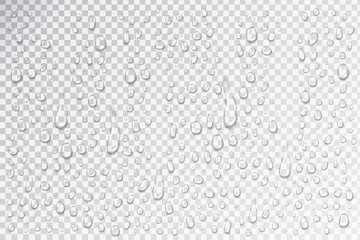Vector set of realistic isolated water droplets on the glass on the transparent background.