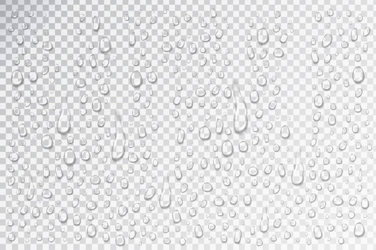 Vector set of realistic isolated water droplets on the glass on the transparent background.