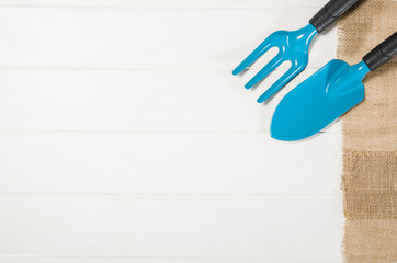 Gardening tools top view on white wooden planks background with copy space around products. Border with place for text. Gardening or planting concept seen from above. Working in a clean indoor garden.
