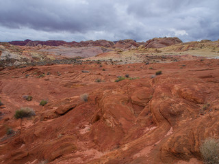 Amazing colors and shape of the Fire Wave rock