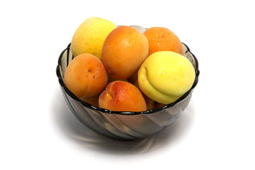 Apricots with water drops in glass bowl on white background