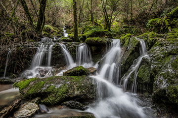 Green Moss Covered Waterfalls 
