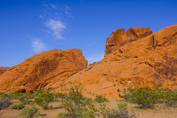 The wonderfuls landscape in the Valley of Fire in Nevada
