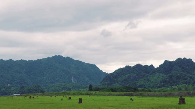 Overcast weather at tropical Rainforest. 