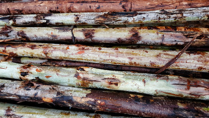 Stacked wood timber random size
