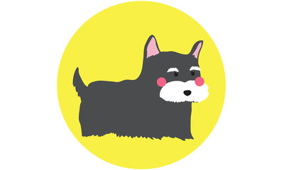 schnauzer dog gray color cartoon