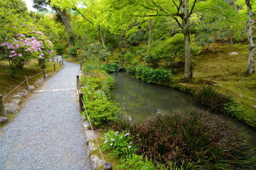 Peaceful walking path in a beautifully landscaped Japanese pond garden