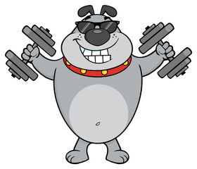 Smiling Gray Bulldog Cartoon Mascot Character With Sunglasses Working Out With Dumbbells. Illustration Isolated On White Background
