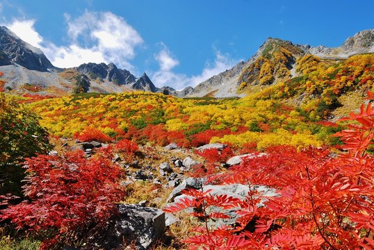 Karasawa  valley - brilliant colors