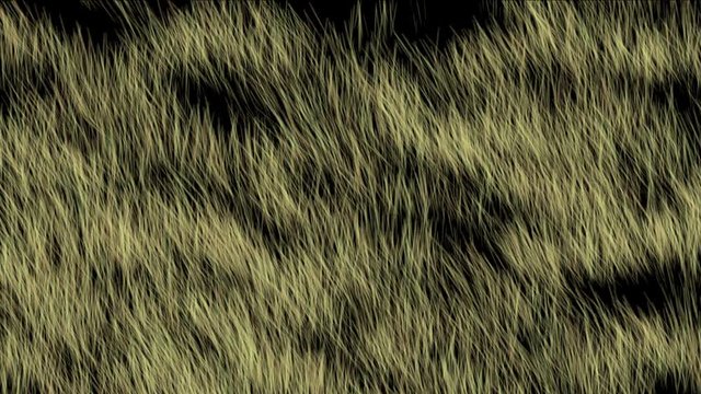4k Wind breeze blowing grassland,meadow prairie pasture wheat barley food agriculture wilderness background.